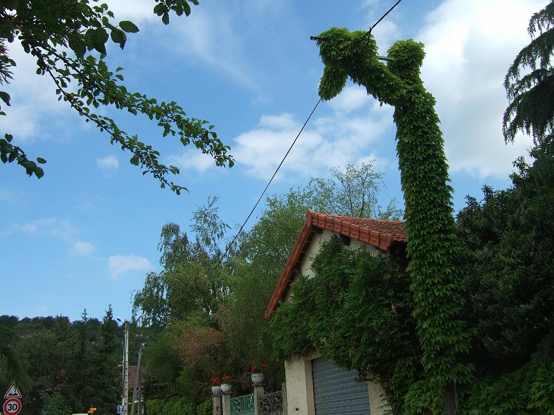 2010-05- (41).JPG - Bizarre Gestalten ragen aufrecht in die Höhe ...